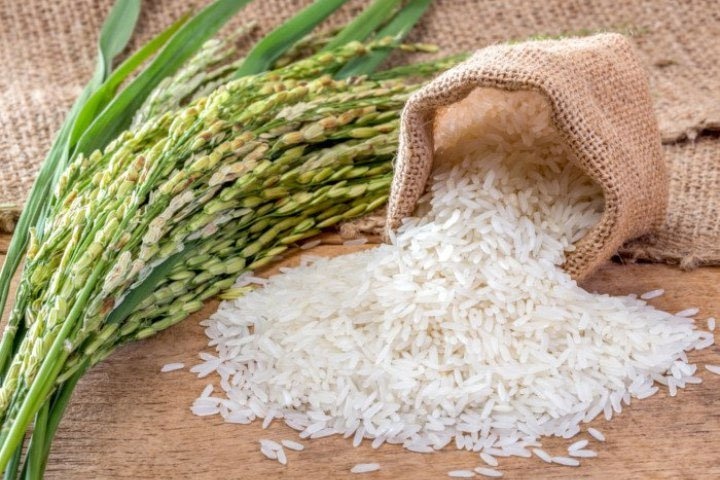 Gạo là lương thực chính của nước ta